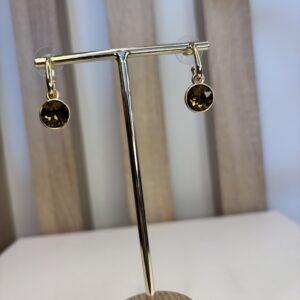 IMG_7252.jpeg oorbel hanger met bruine steen