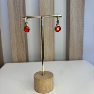 oorbel hanger met rood