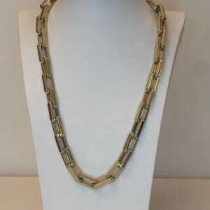 b1517a34-c2fe-4ecd-9b6b-e906f16dba89.jpg ketting met gouden schakels