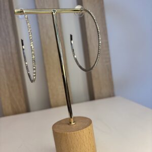 IMG_7261.jpeg oorbel zilver, grote ringen met steentjes