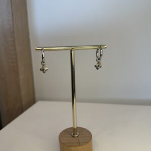 IMG_6752.jpeg oorbel zilveren hanger