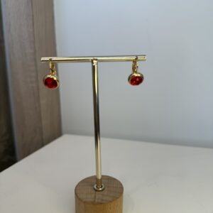 IMG_6829.jpeg oorbel rode steen