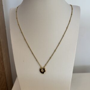 IMG_8963.jpeg fijne ketting met hartje